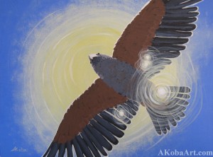 Harris Hawk in flight