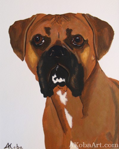 Boxer